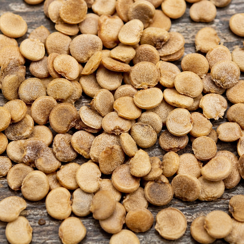 Hybrid Brinjal Seed